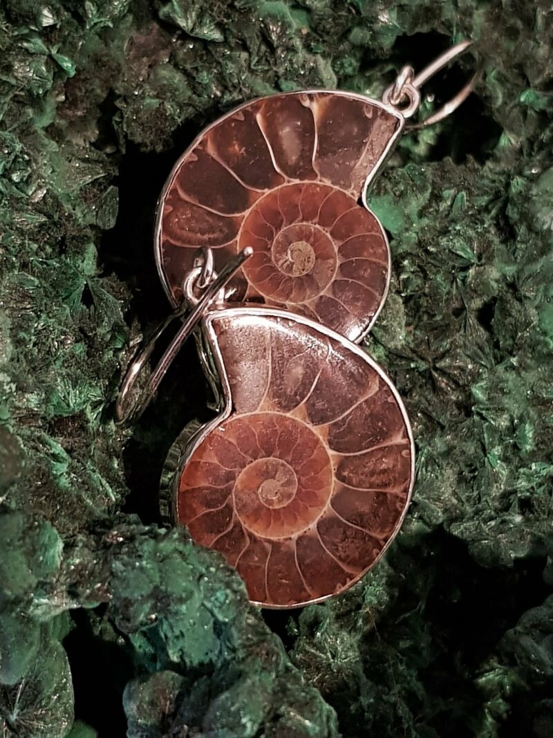 Sacred Ammonite Earrings set in 925 Silver