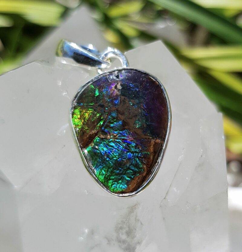 Ammolite pendant set in silver • The Crystal Cave