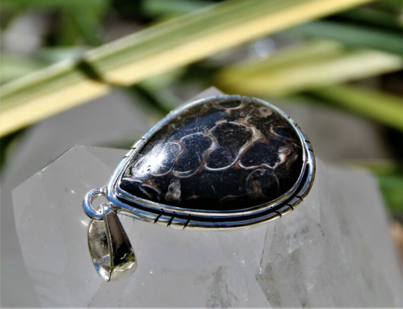 Turritella Agate Pendant in silver