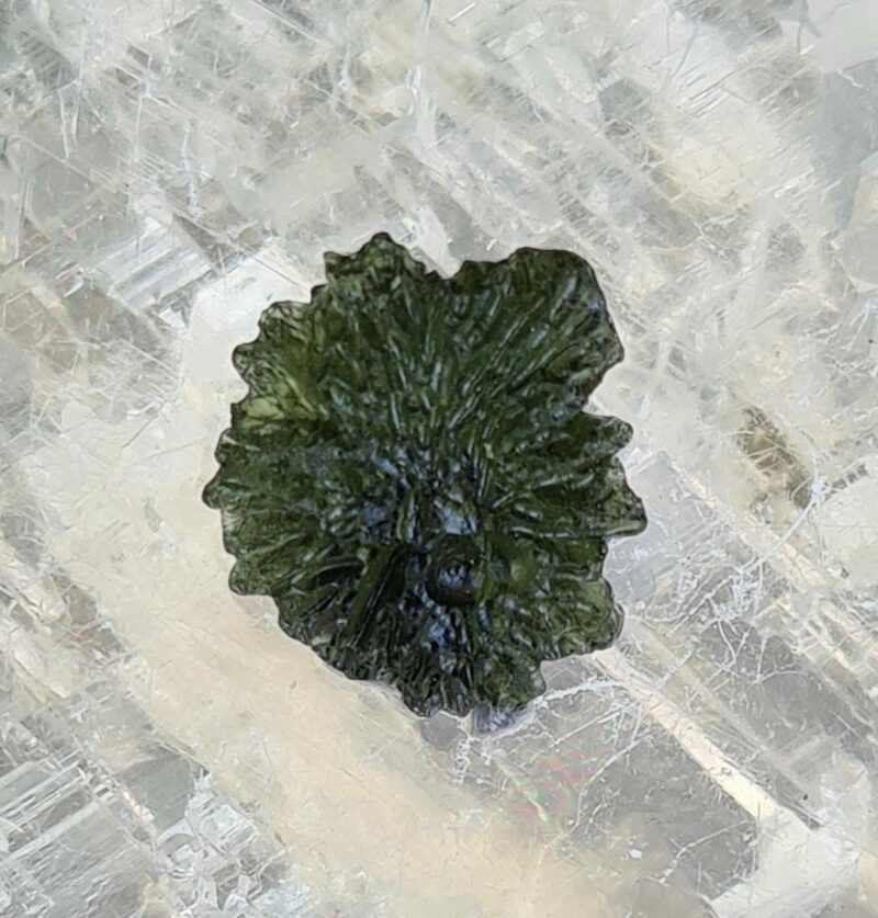 Magnificent Moldavite the stone that fell from the sky. A delicate rare hedgehog from Besedidnice. thecrystalcave.com.au