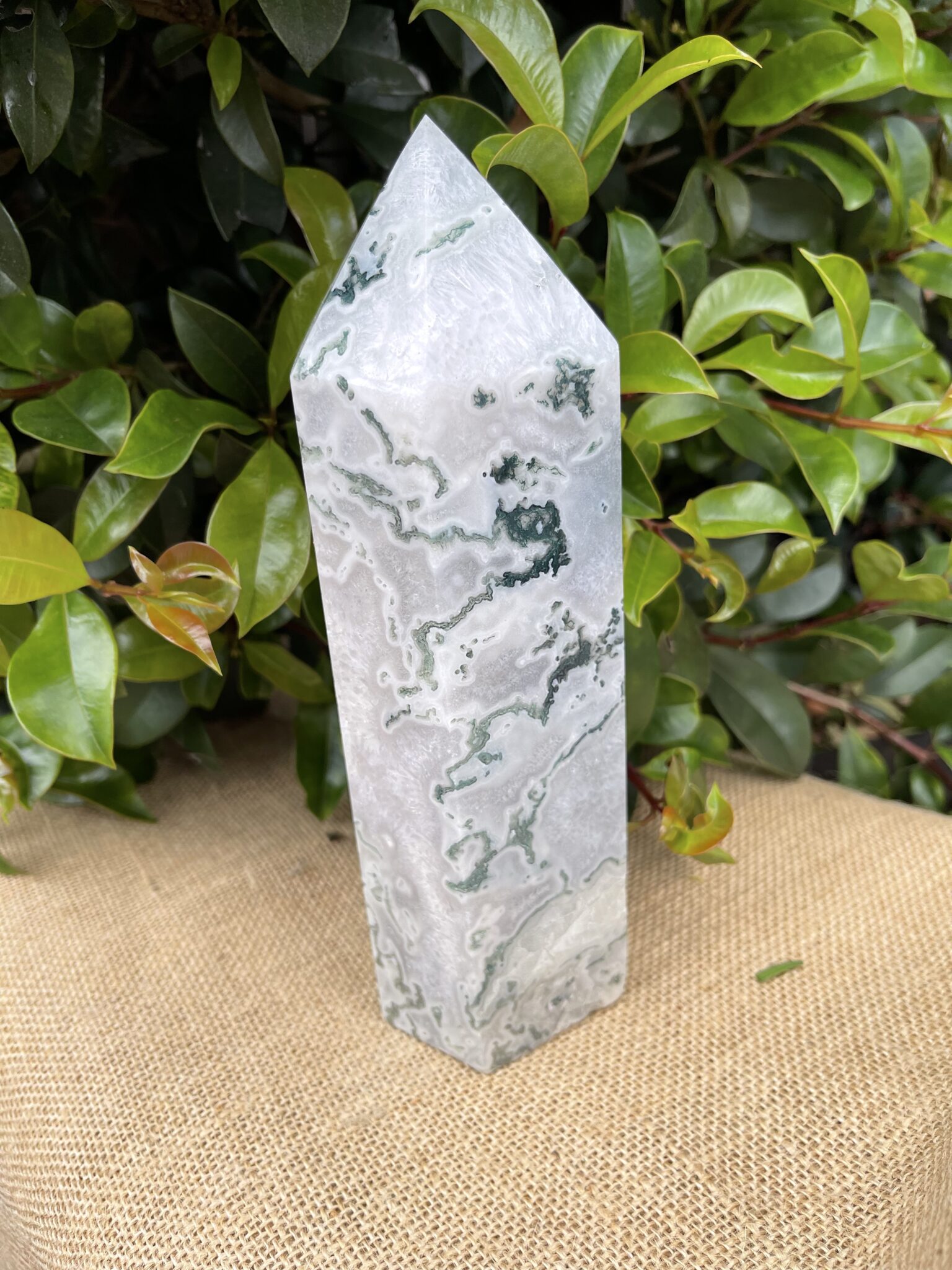 Moss Agate Stunning Generator • The Crystal Cave