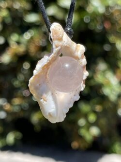 rose quartz shell necklace
