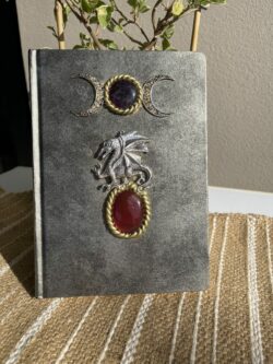 Silver dragon goddess journal