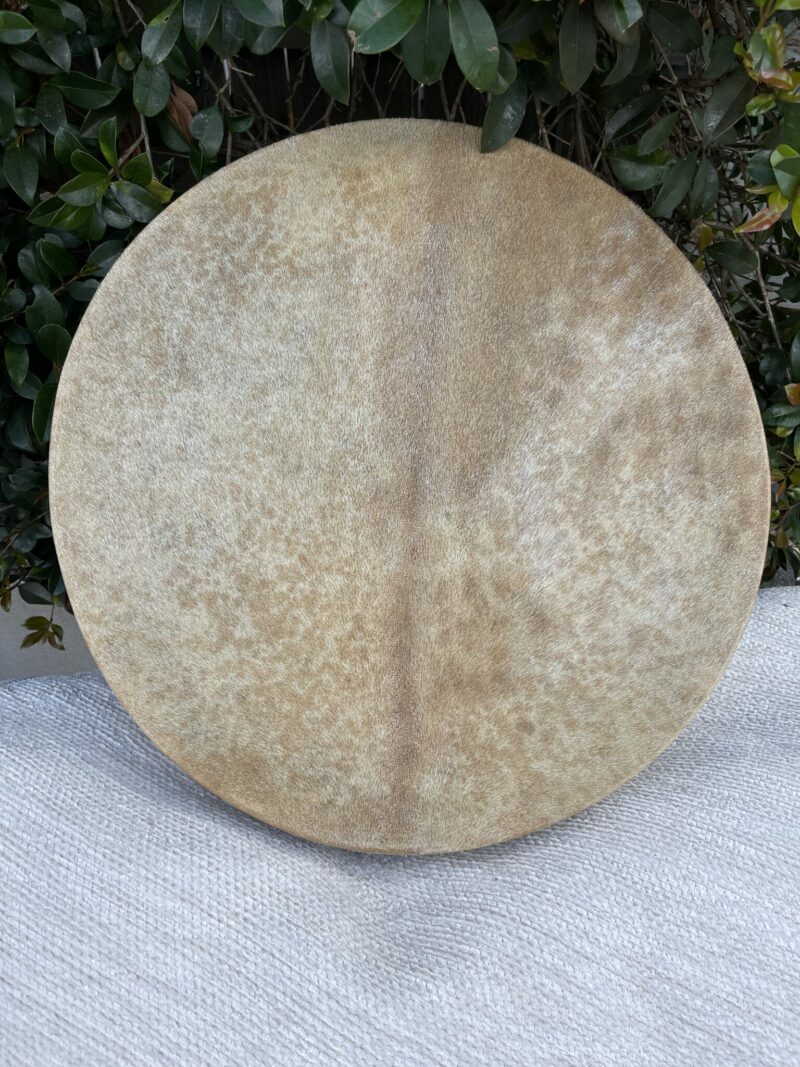 shamanic air pump drum with lion carved handle and goat skin. thecrystalcave.com.au