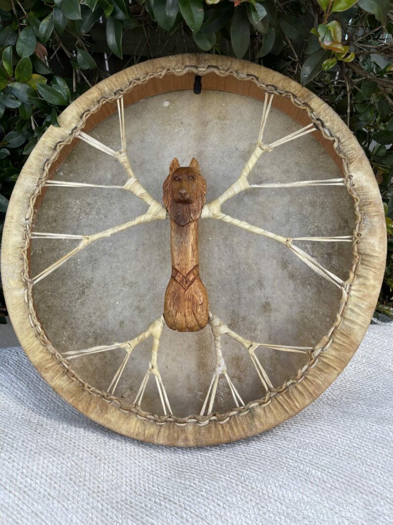 shamanic air pump drum with lion carved handle and goat skin. thecrystalcave.com.au