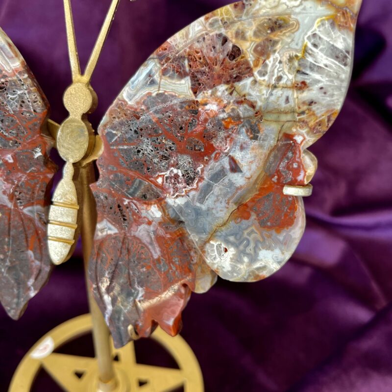 Mexican Agate Butterfly with Wings on Stand