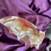 Mexican Agate Large Dragon with Wings on Stand