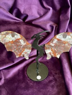 Mexican Agate Dragon with Wings on Stand