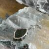 this is magnificent moldavite with herkimer diamond silver pendant thecrystalcave.com.au