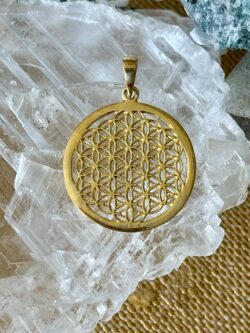 Flower of life 925 silver with gold plated pendant