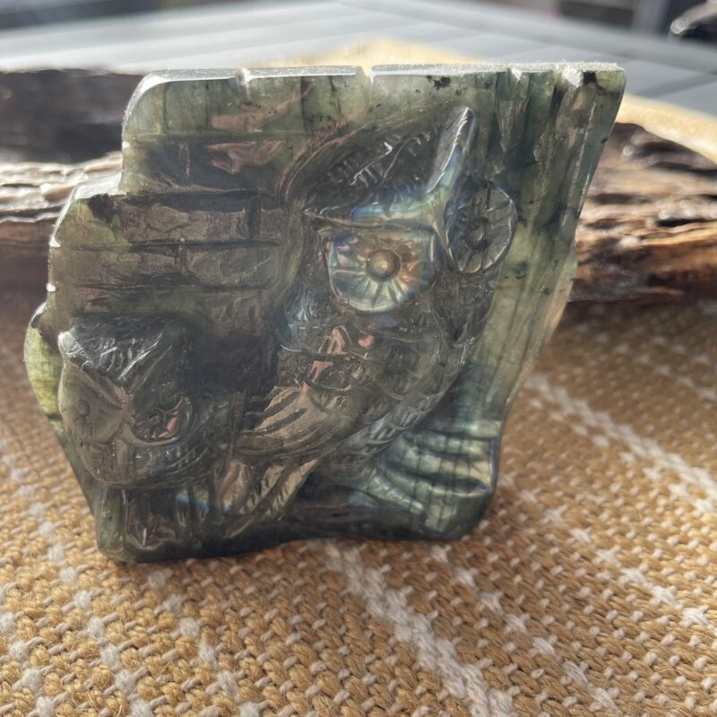This is Magical Labradorite Twin Owl Wisdom Carving