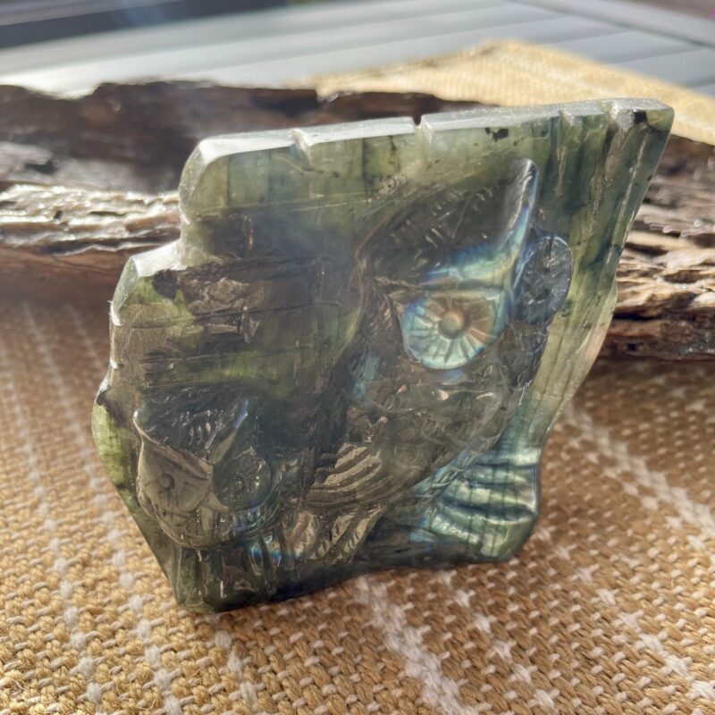 This is Magical Labradorite Twin Owl Wisdom Carving