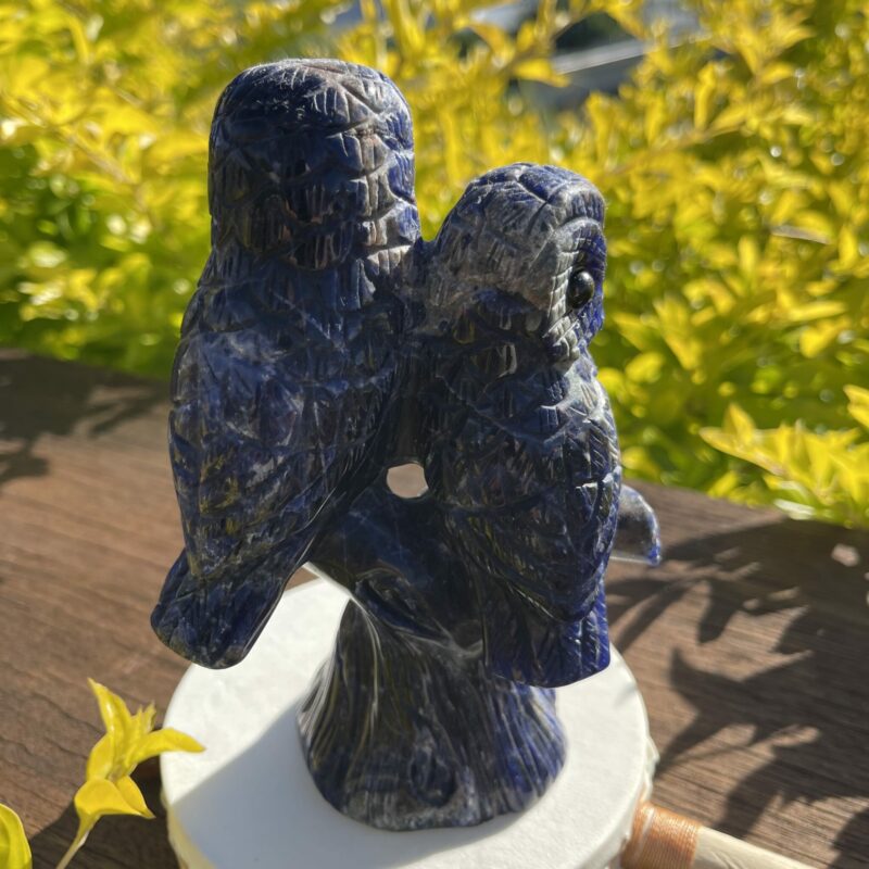 This is Beautiful Sodalite Twin Owl Carving