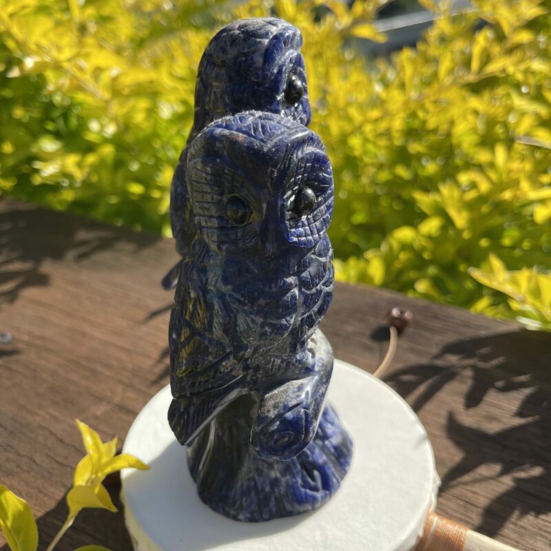 This is Beautiful Sodalite Twin Owl Carving