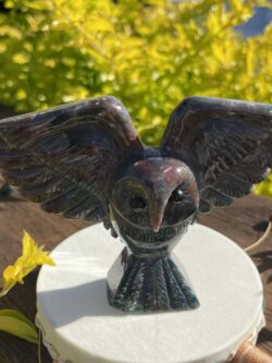 This is Beautiful Bloodstone Owl In Flight Carving