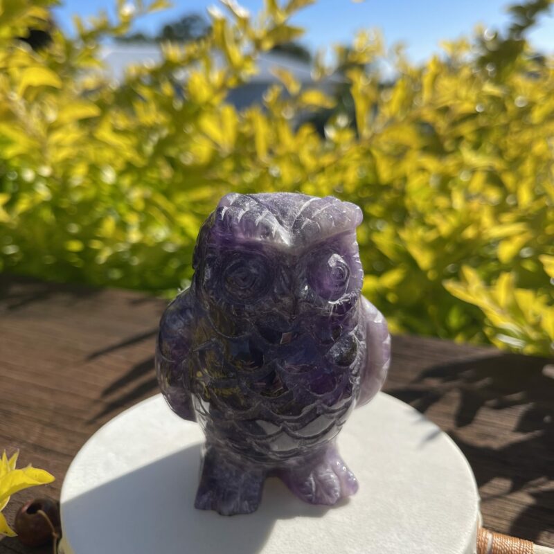 This is Beautiful Chevron Amethyst Owl Carving