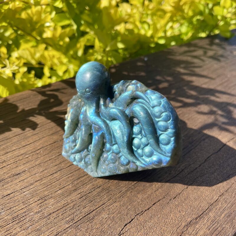 Dive into the Mystical Realm of Labradorite Octopus