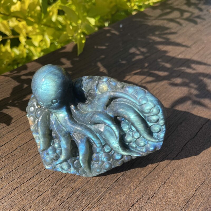 Dive into the Mystical Realm of Labradorite Octopus