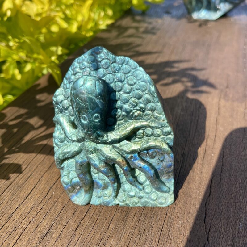Dive into the Mystical Realm of Labradorite Octopus