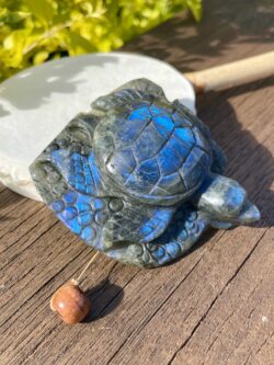 This is to Embrace the Wisdom of the Labradorite Turtle