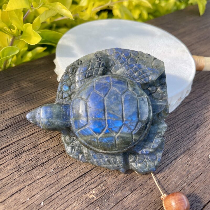This is to Embrace the Wisdom of the Labradorite Turtle