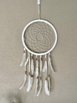 This is beautiful web dreamcatcher