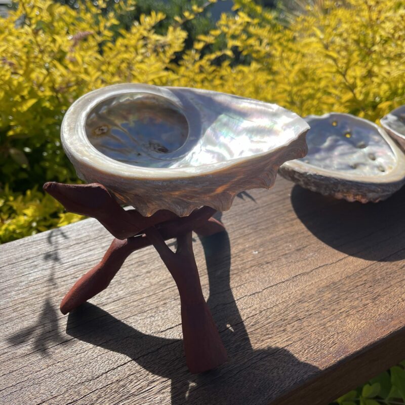 Natural Rainbow Abalone Shell for smudging and ceremony