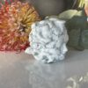 White Howlite Medusa Head Carving