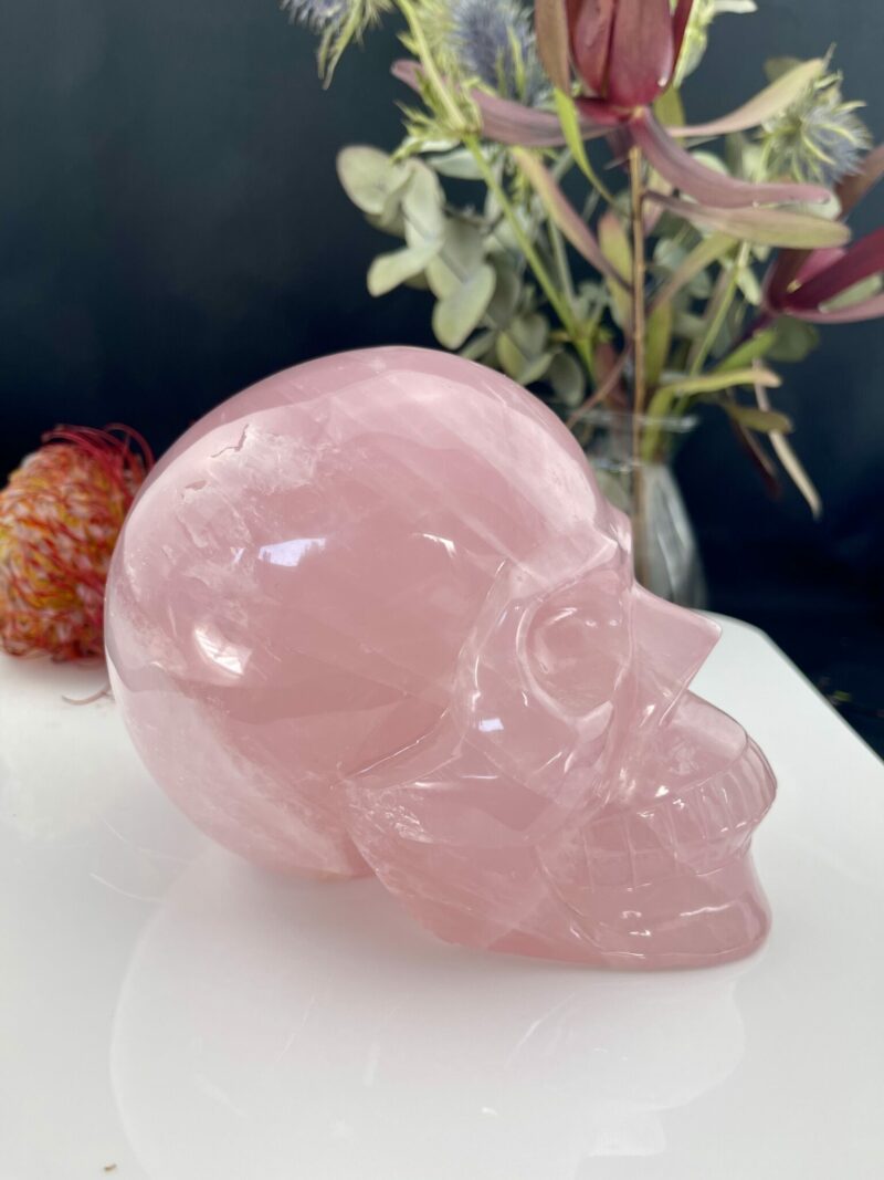 Stunning Loving Rose Quartz Skull