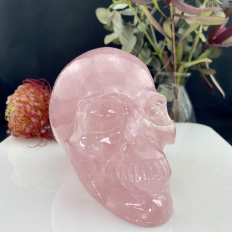 Stunning Loving Rose Quartz Skull