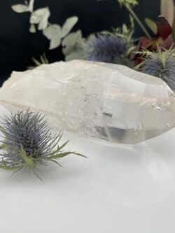 Super Lemurian Seed Point of wisdom and peace