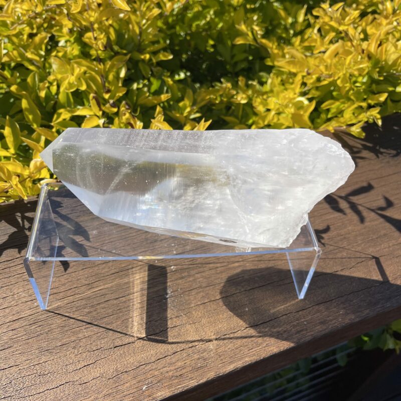 XXL Super Clear Lemurian Seed Quartz