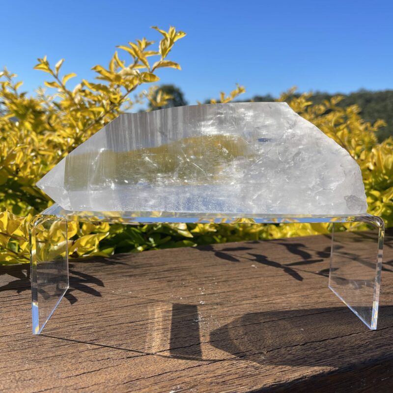 XXL Super Clear Lemurian Seed Quartz