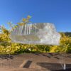 XXL Super Clear Lemurian Seed Quartz