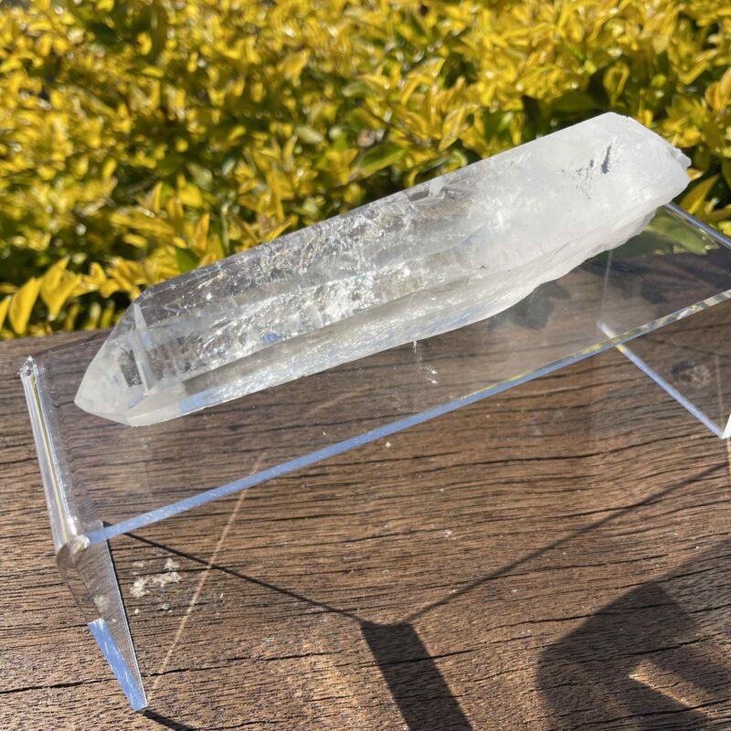 Water Clear Lemurian Point - A Masterpiece of Clarity