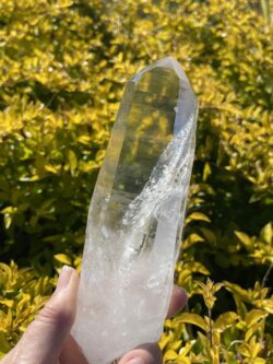 Water Clear Lemurian Point - A Masterpiece of Clarity