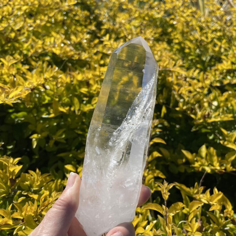 Water Clear Lemurian Point - A Masterpiece of Clarity