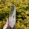 Water Clear Lemurian Point - A Masterpiece of Clarity