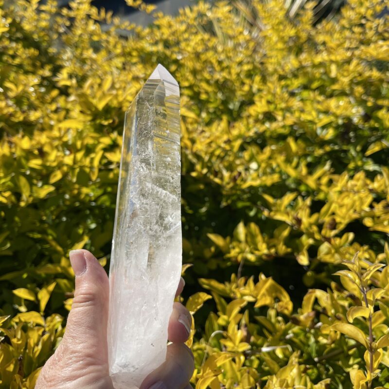 Water Clear Lemurian Point - A Masterpiece of Clarity