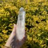 Water Clear Lemurian Point - A Masterpiece of Clarity