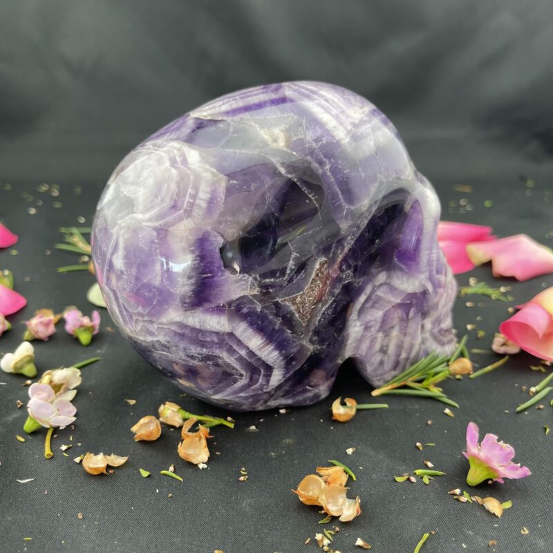 This isChevron Amethyst XL Skull of Wisdom