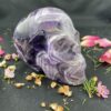 This isChevron Amethyst XL Skull of Wisdom