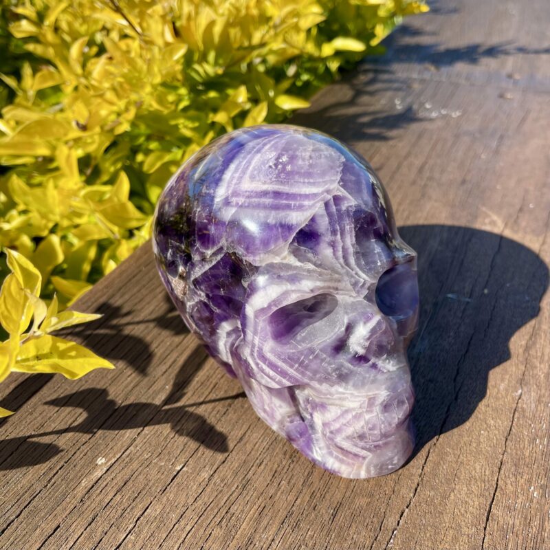 This isChevron Amethyst XL Skull of Wisdom