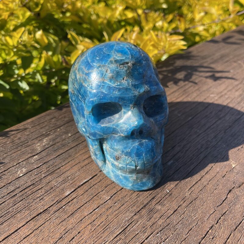 this is Large Apatite Skull of Wonder