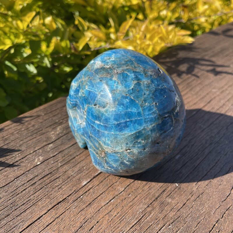 this is Large Apatite Skull of Wonder