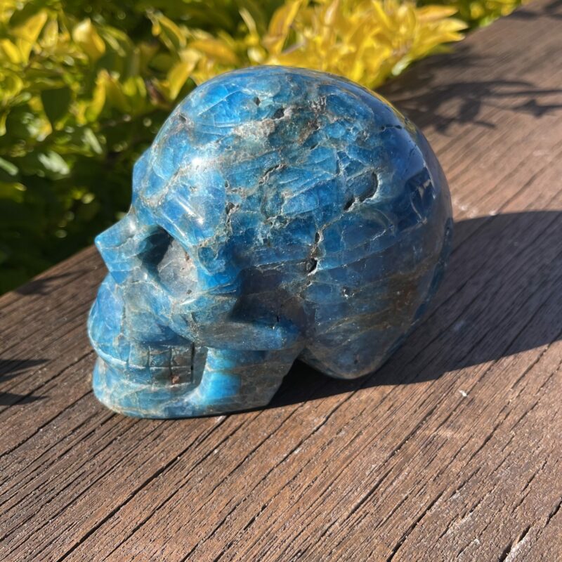 this is Large Apatite Skull of Wonder