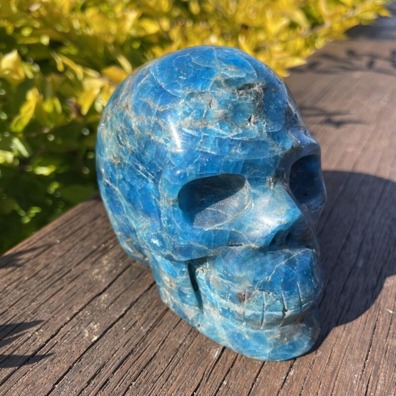 this is Large Apatite Skull of Wonder