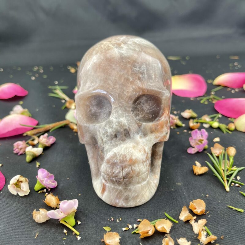 Large Black Moonstone Skull of Mystics