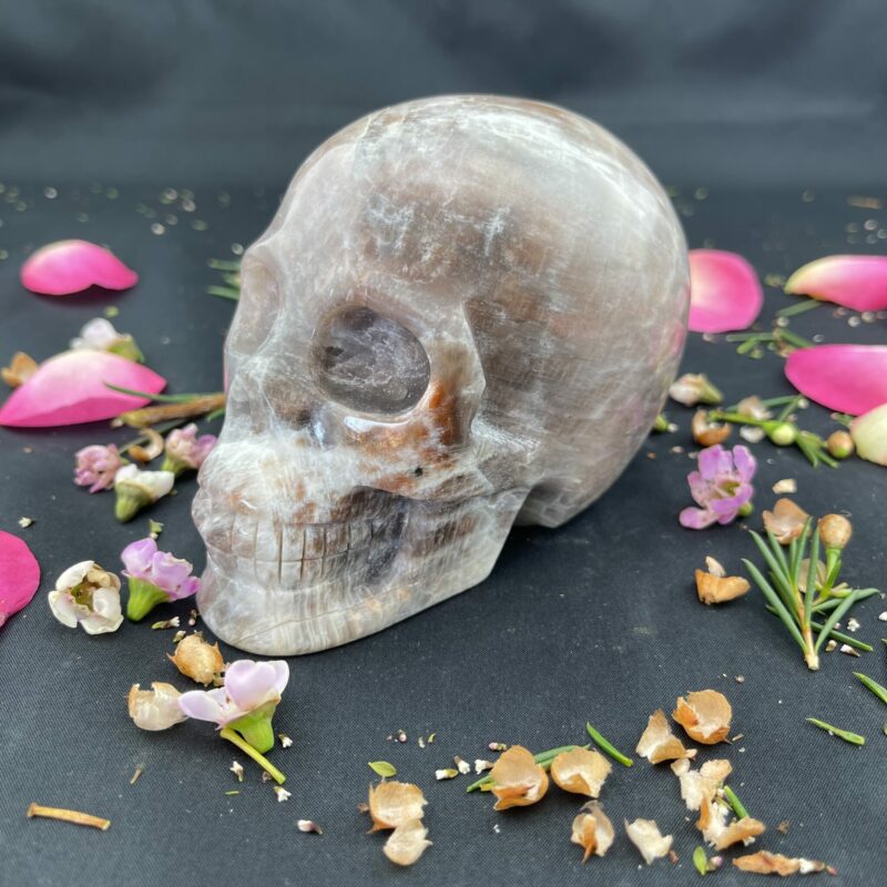 Large Black Moonstone Skull of Mystics