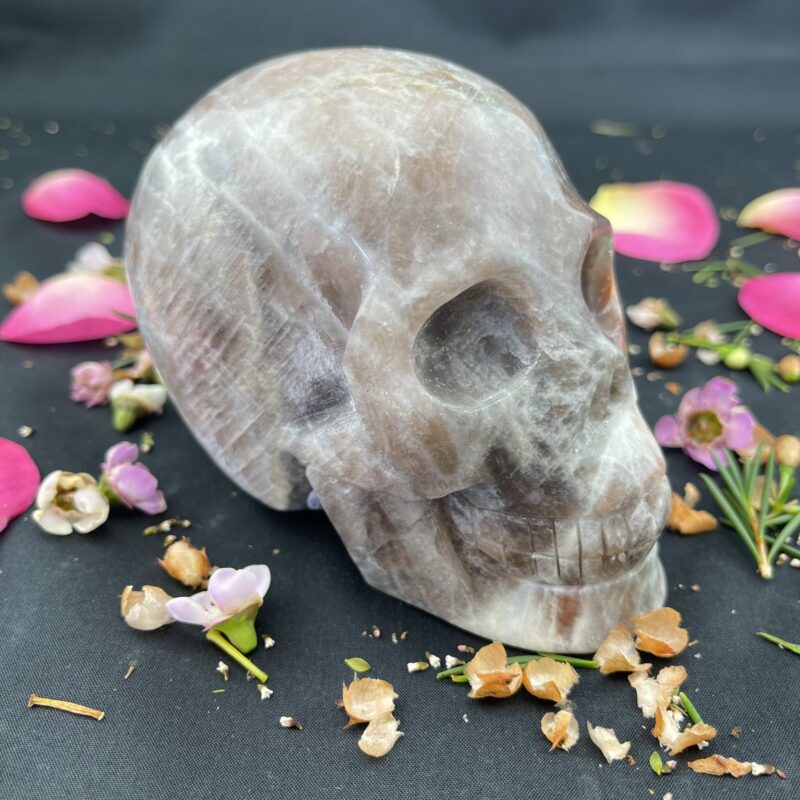 Large Black Moonstone Skull of Mystics